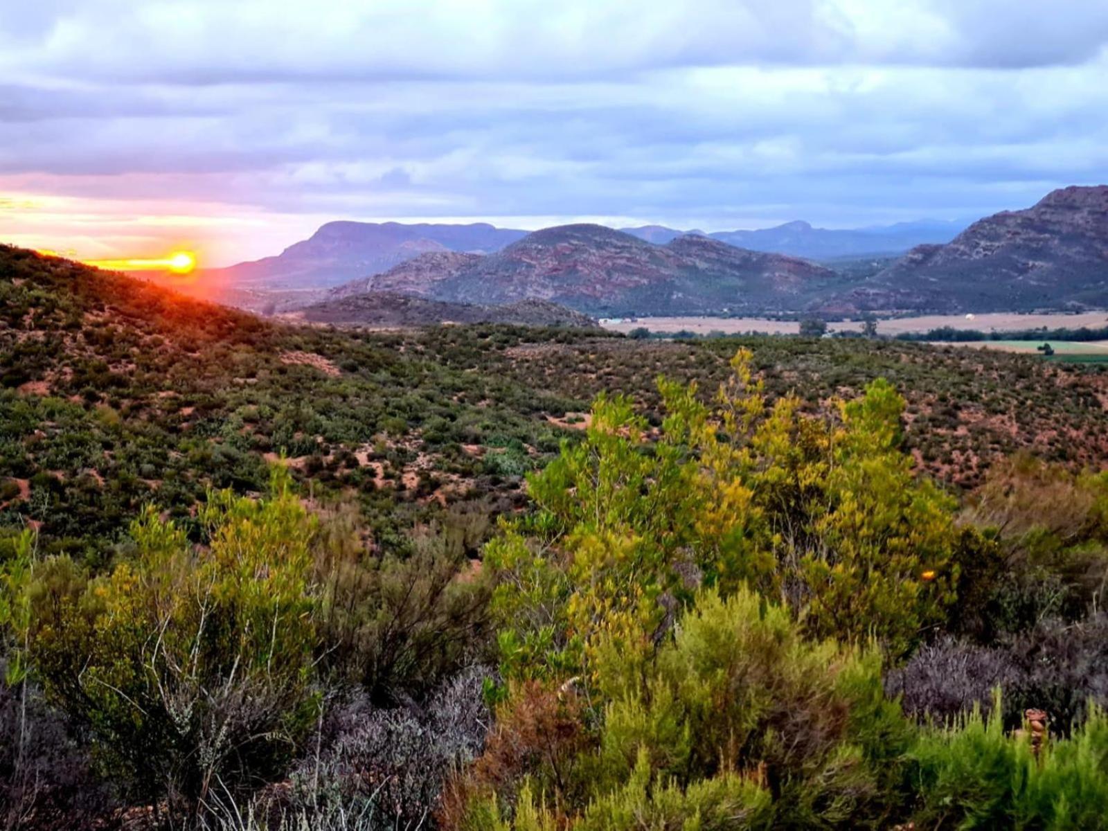 Aardts Cabins De Rust ภายนอก รูปภาพ